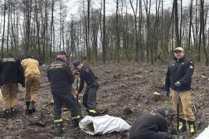 Społeczna akcja sadzenia lasu w Ryńsku, na terenie Leśnictwa Wronie