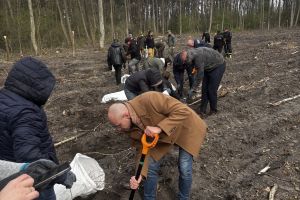 Społeczna akcja sadzenia lasu w Ryńsku, na terenie Leśnictwa Wronie