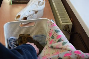 Drzwi Otwarte w Zespole Szkół Ogólnokształcących w Wąbrzeźnie