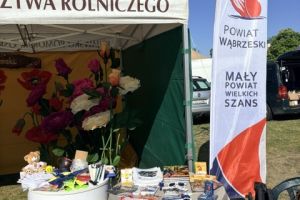 Targi "Lato na Wsi - Święto Smaku i Tradycji" w Minikowie