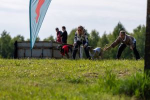 Krajowe Terenowe Wyścigi Chartów – zawody coursingowe w Ludowicach