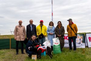 Krajowe Terenowe Wyścigi Chartów – zawody coursingowe w Ludowicach