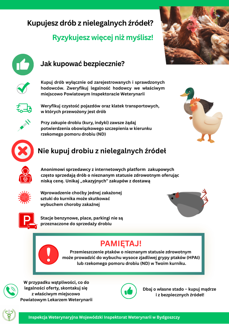 Ulotka informacyjna dotycząca handlu drobiem