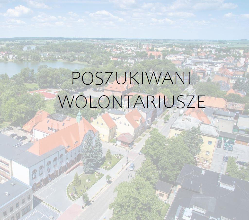 Powiatowy Urząd Pracy poszukuje wolontariuszy