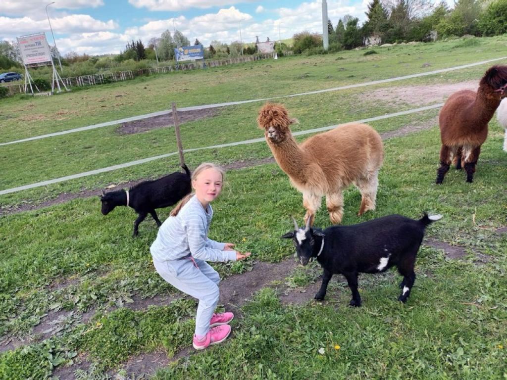 Gokarty, dmuchańce. papugarnia, mini zoo... tyle atrakcji w miniony weekend dla dzieci z Placówki w Książkach! :)