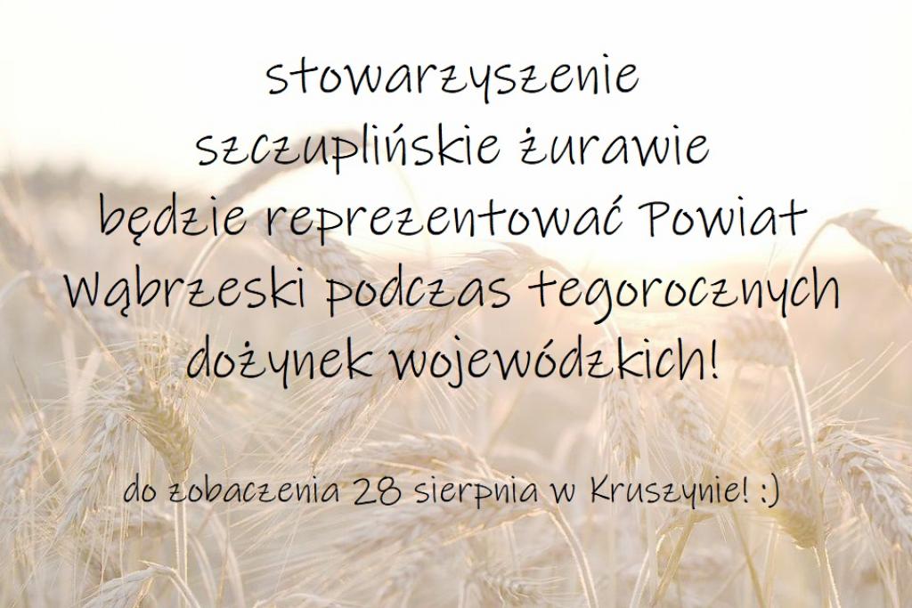 Stowarzyszenie Szczuplińskie Żurawie z terenu Gmina Książki będzie reprezentować Powiat Wąbrzeski podczas tegorocznych dożynek Wojewódzkich Kujawsko-Pomorskie