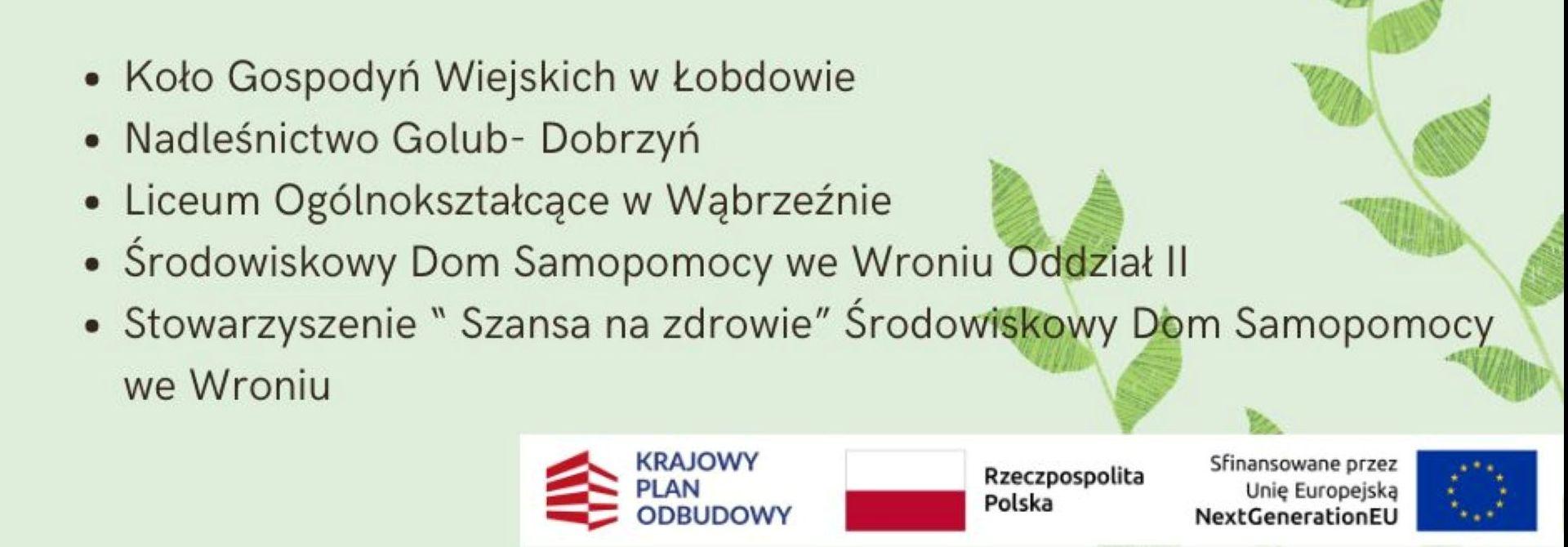 Piknik ekologiczny we Wroniu – edukacja i zabawa w trosce o środowisko