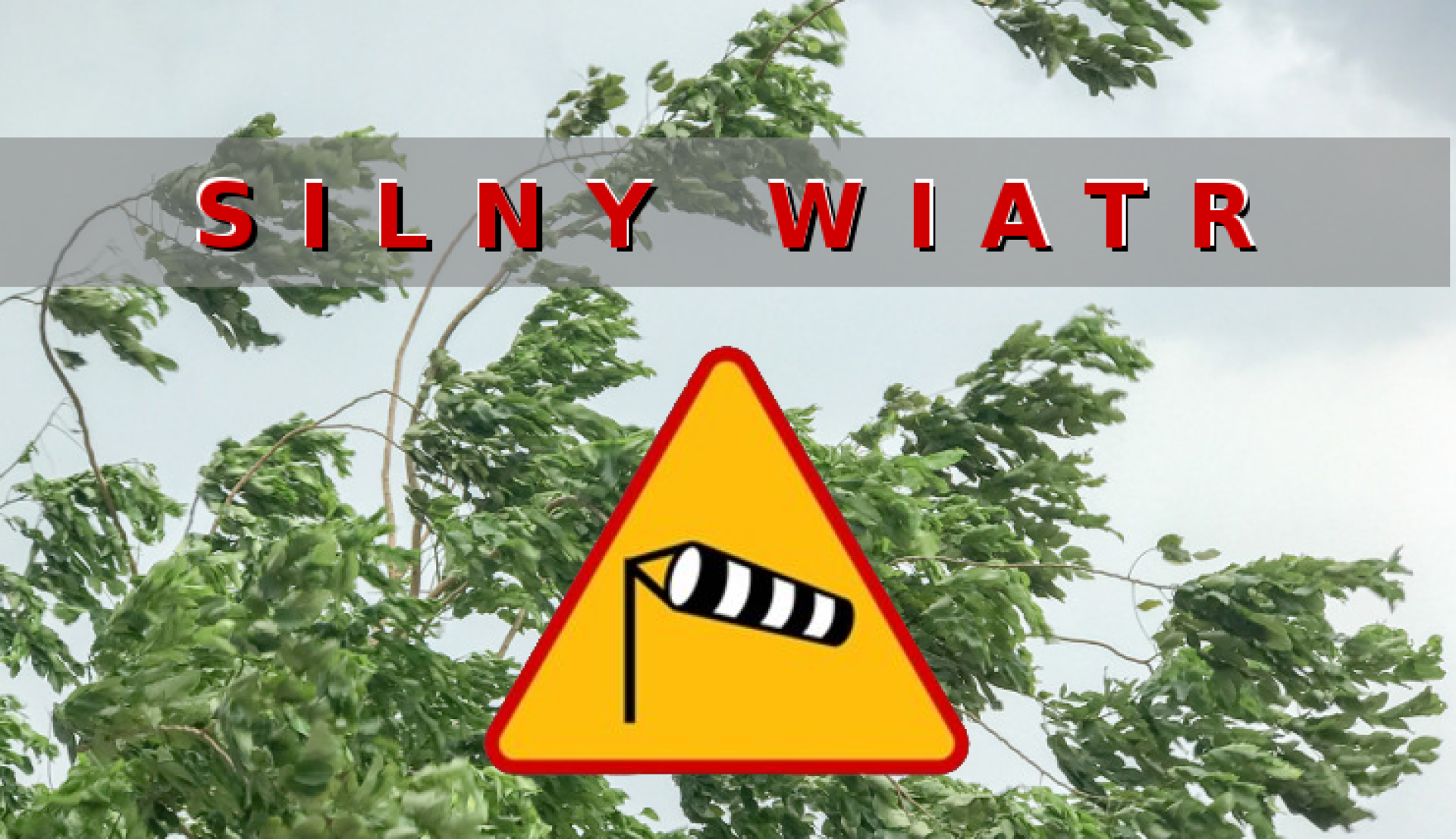 Ostrzeżenie meteorologiczne - Silny wiatr!