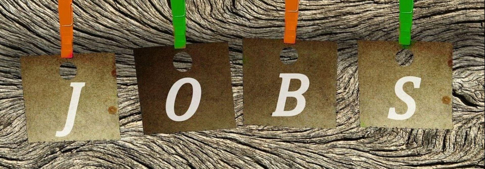 Sprawdź aktualne oferty w powiecie wąbrzeskim!