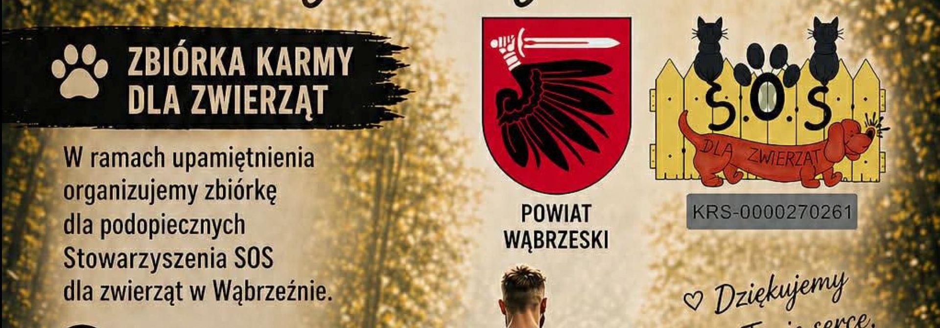 Zbiórka karmy dla zwierząt! Razem możemy pomóc!