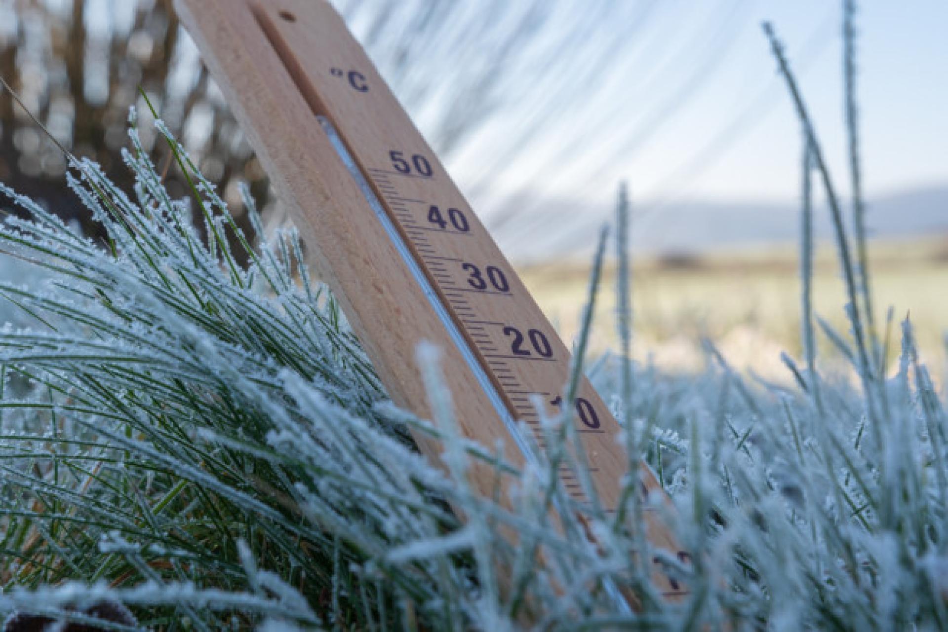 Ostrzeżenie meteorologiczne o prognozowanych przymrozkach
